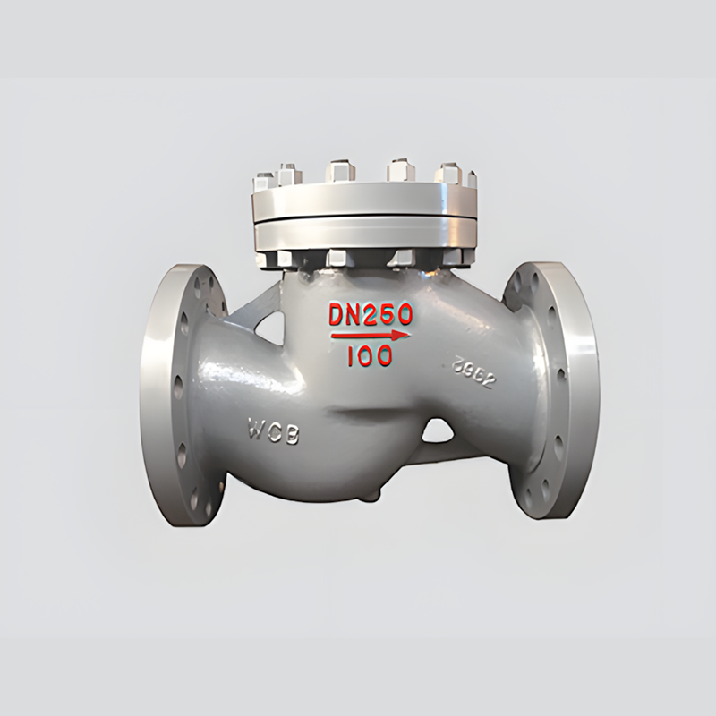 lift-check-valve-2
