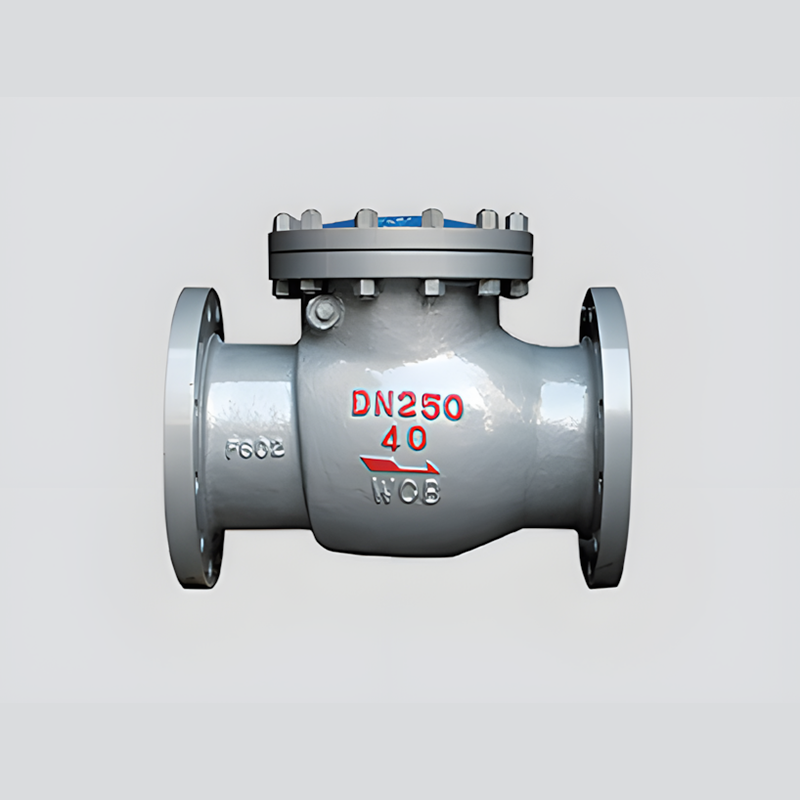 swing-check-valve-2
