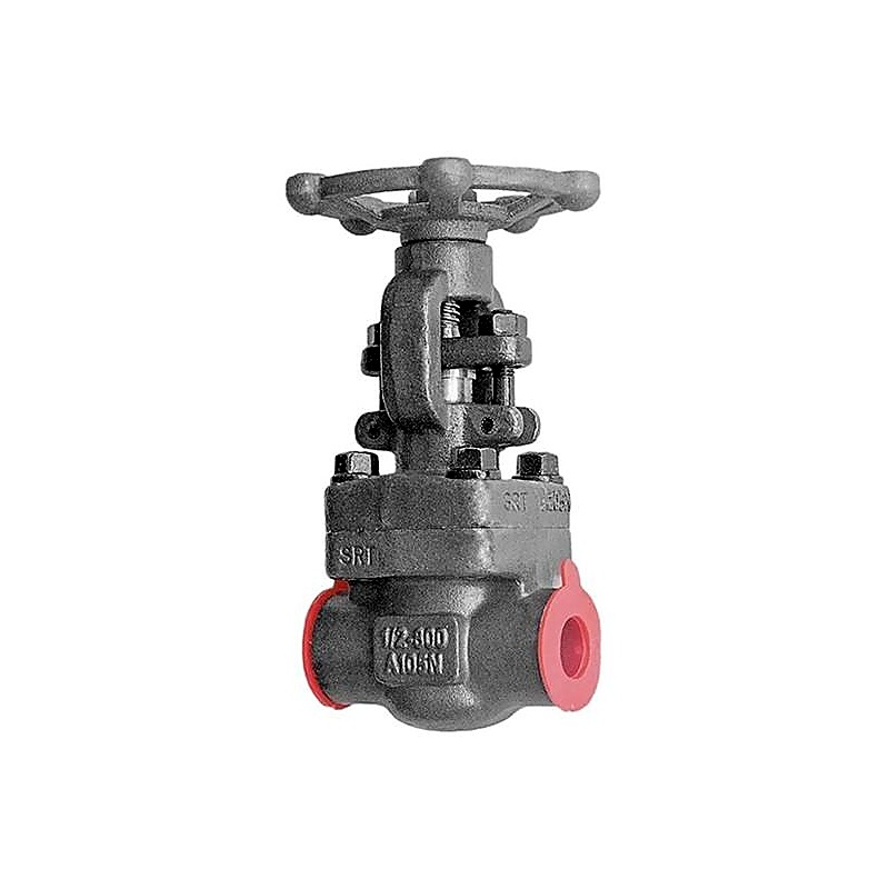 004